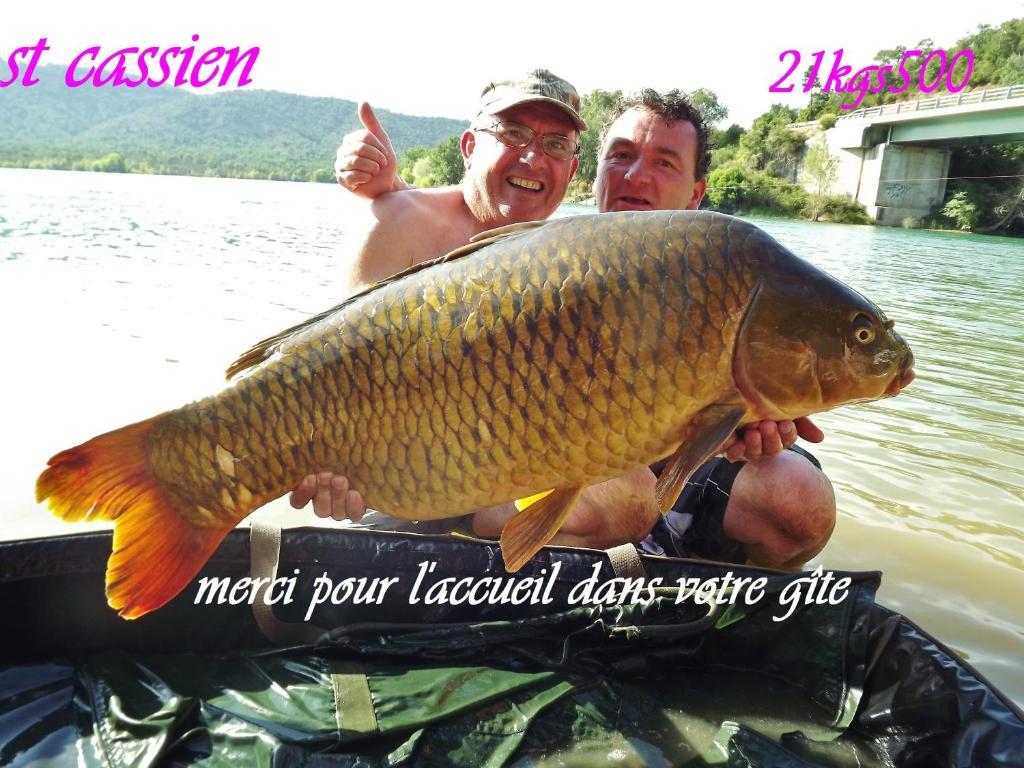 Gite De Saint Cassien Montauroux Dış mekan fotoğraf